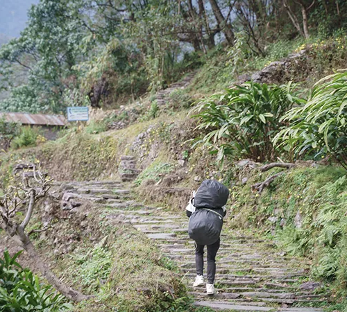A trekker with a large black backpack climbs stone stairs on a lush, green mountain trail. This physical challenge is part of a 2-week Nepal itinerary.