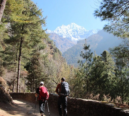 Two trekkers with backpacks walk along a stone-walled forest path toward a snow-capped peak, exploring one of the best nature destinations in Nepal.