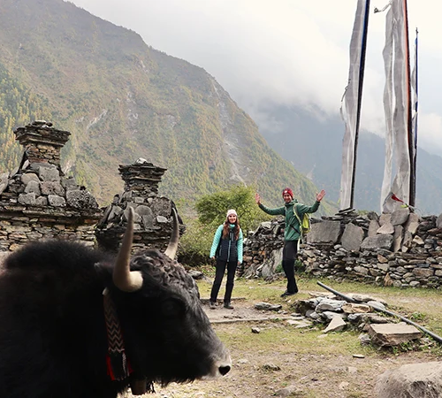 Two trekkers stand near a yak, stone chortens, and prayer flags in Nepal. Choosing between the Manaslu vs Annapurna Circuit determines the level of cultural immersion.