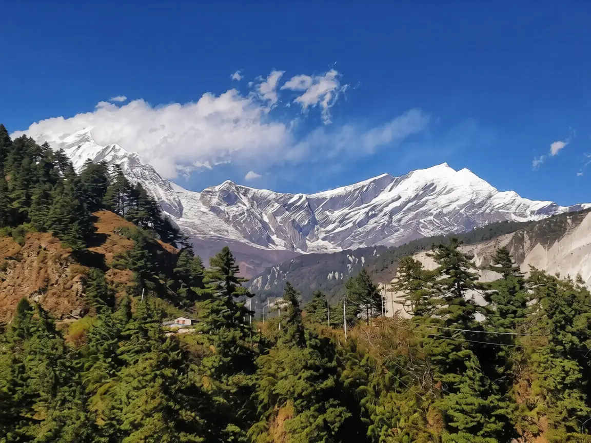 Lush green pine forests frame the snow-dusted ridges of the Himalayas under a bright blue sky. This view is essential for any Dhaulagiri Circuit Trek Guide.