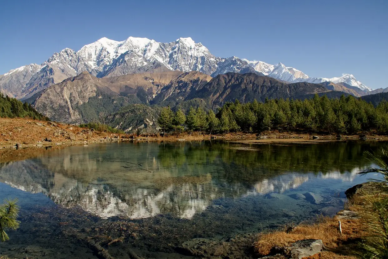 A clear alpine lake reflects the snow-covered Dhaulagiri mountain peaks and evergreen trees. This serene landscape is a key highlight in any Dhaulagiri Circuit Trek Guide.