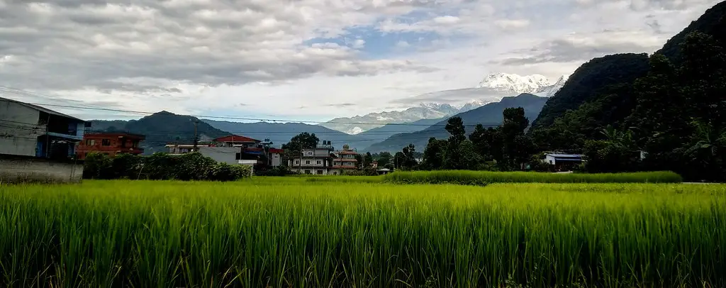 Traditional stone houses with dark roofs sit nestled among bright green terraced fields overlooking a deep river valley during the Annapurna Siklis Trek.