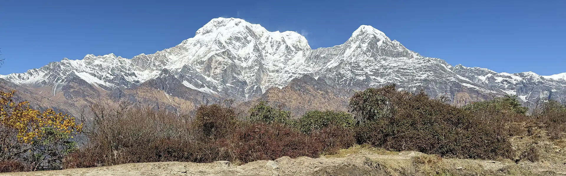 A panoramic view shows snowy Himalayan peaks rising above dry mountain shrubs under a clear blue sky, a key feature in this Mardi Himal Trek Guide.