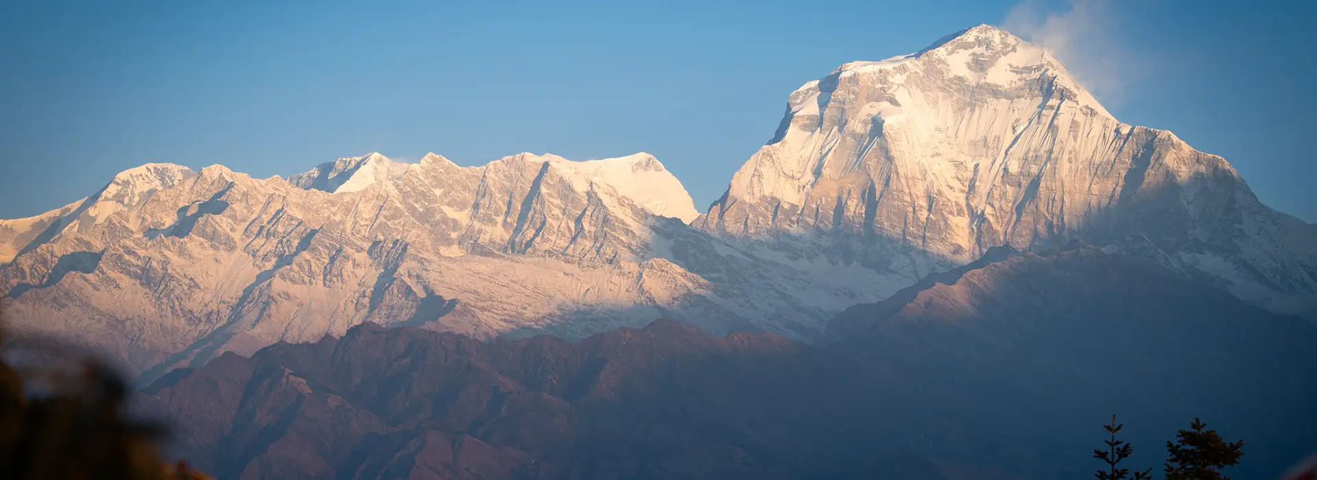The morning sun casts a golden glow on the snow-capped peaks of Dhaulagiri in Nepal. This stunning view is a highlight for anyone using a Dhaulagiri Circuit Trek Guide.
