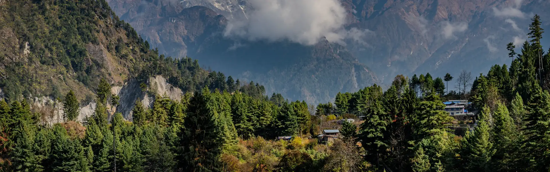 A remote Himalayan village sits nestled among dense pine forests and towering peaks, where travelers often need Restricted Area Permits in Nepal to explore the surrounding wilderness.