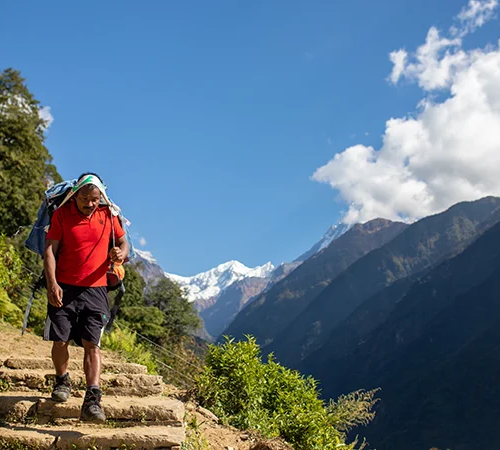 A local porter descends steep stone stairs with a heavy pack against a backdrop of snow-capped peaks, demonstrating the Annapurna Base Camp Trek Difficulty.