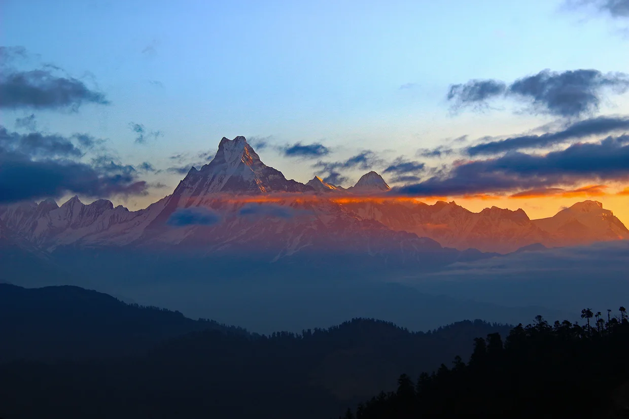 Golden sunrise light illuminates the snow-capped peak of Machapuchare and the Annapurna range above dark forested hills during the Annapurna Community Trek.