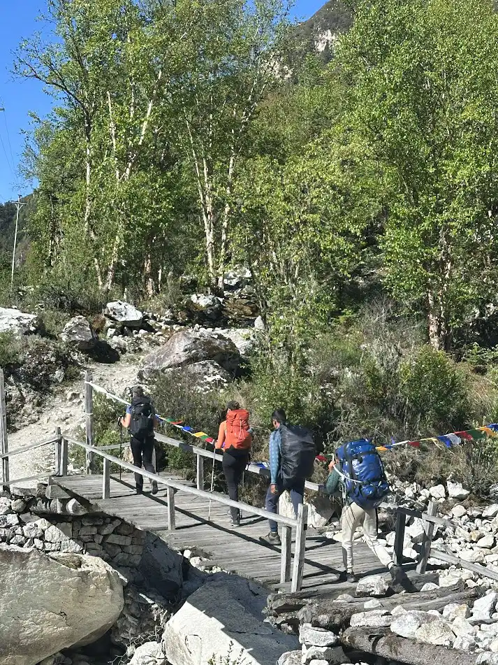 Trekkers and porters carrying heavy backpacks cross a wooden bridge surrounded by green trees on a mountain trail, as featured in our Manaslu Circuit Trek Guide.
