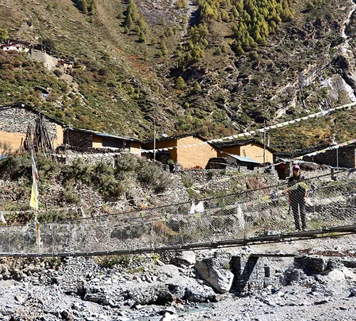 A trekker walks across a long suspension bridge near stone village houses in Nepal. This Altitude Guide for Manaslu Trek resource helps hikers manage elevation shifts.