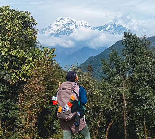 A trekker wearing a backpack adorned with prayer flags looks toward towering snow-capped peaks above a lush forest, an essential view in this Mardi Himal Trek Guide.