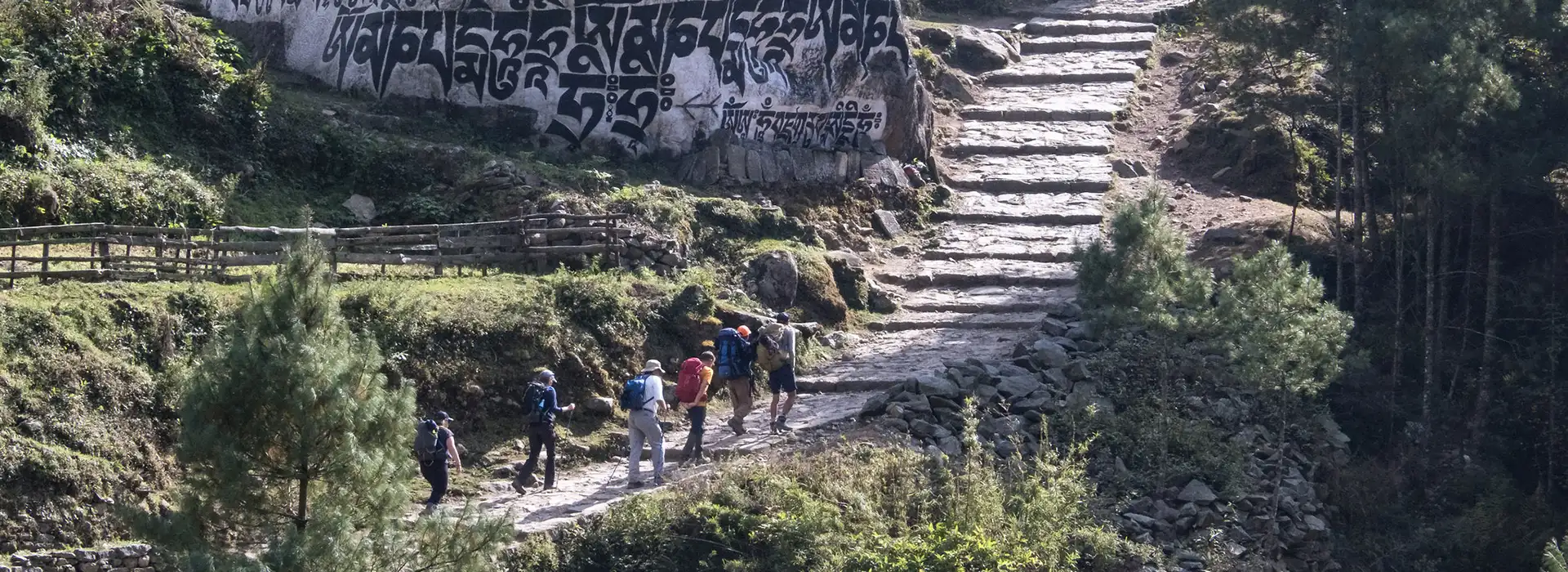 A group of hikers with backpacks walks up a stone path past a large mani rock carved with Buddhist inscriptions during an Everest View Trek.