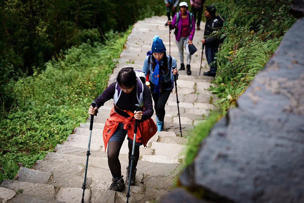 Trekkers use trekking poles to climb steep stone stairs surrounded by lush green foliage. This Annapurna Circuit Trek Guide shows the physical effort required for mountain trails.
