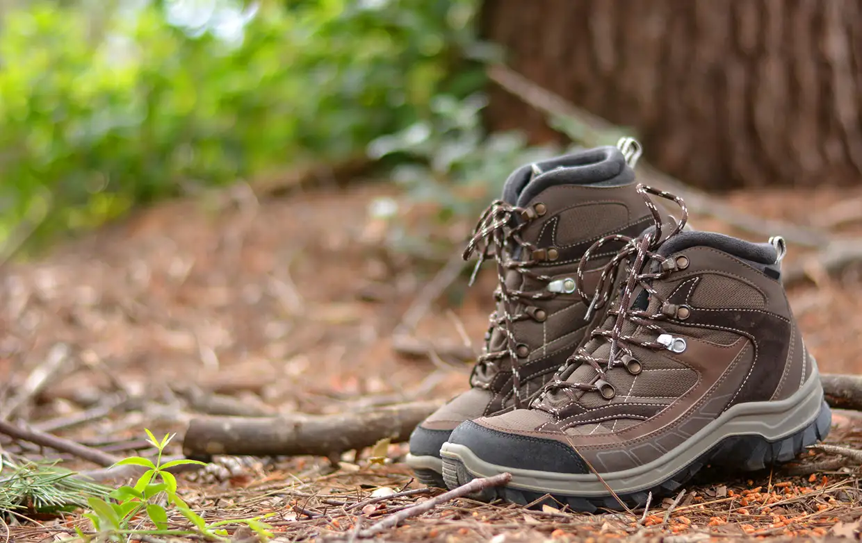 A pair of brown leather hiking boots sits on pine needles in a forest. This Manaslu Trek Packing Guide resource helps travelers select durable trail footwear.