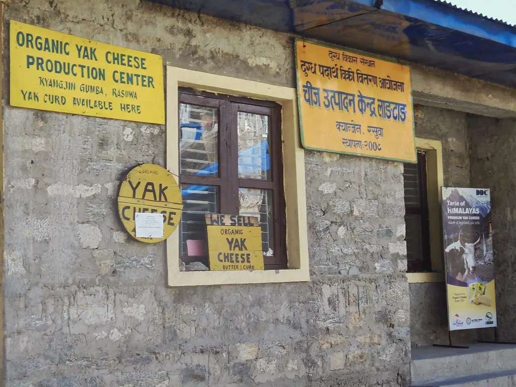 A stone building in Kyanjin Gumba features yellow signs advertising an organic yak cheese production center, a famous local stop detailed in our Langtang Valley Trek Guide.
