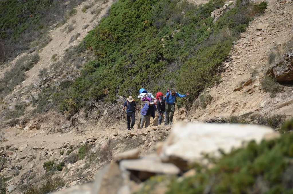 A group of hikers with backpacks walks along a narrow, dusty mountain trail with sparse green bushes during the scenic Upper Dolpo Trek.