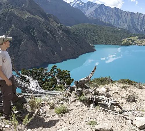 A traveler standing on a rocky ridge beside weathered tree branches, gazing out at the brilliantly turquoise waters and rugged mountains during the Shey Phoksundo Lake Trek.