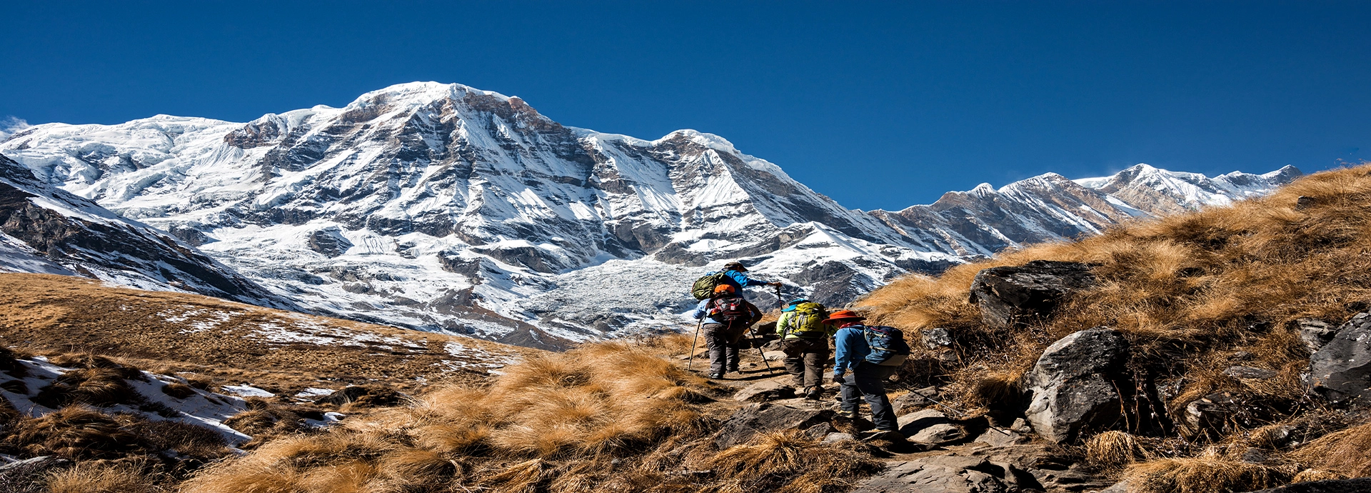 A group of mountaineers with backpacks and trekking poles hiking up a dry, grassy ridge toward a massive snow-capped peak during Tent Peak Climbing.