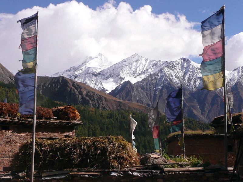 Tall colorful prayer flags fluttering above stone houses with snow-capped mountain peaks during the Shey Phoksundo Lake Trek