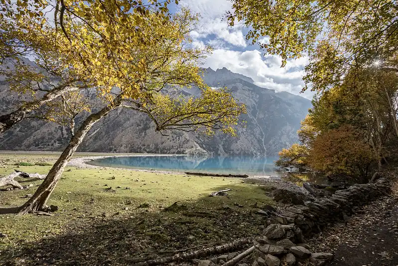 Golden autumn trees framing the calm blue shore of Phoksundo Lake along the Shey Phoksundo Lake Trek